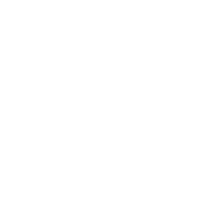 Logo Politechniki Poznańskiej